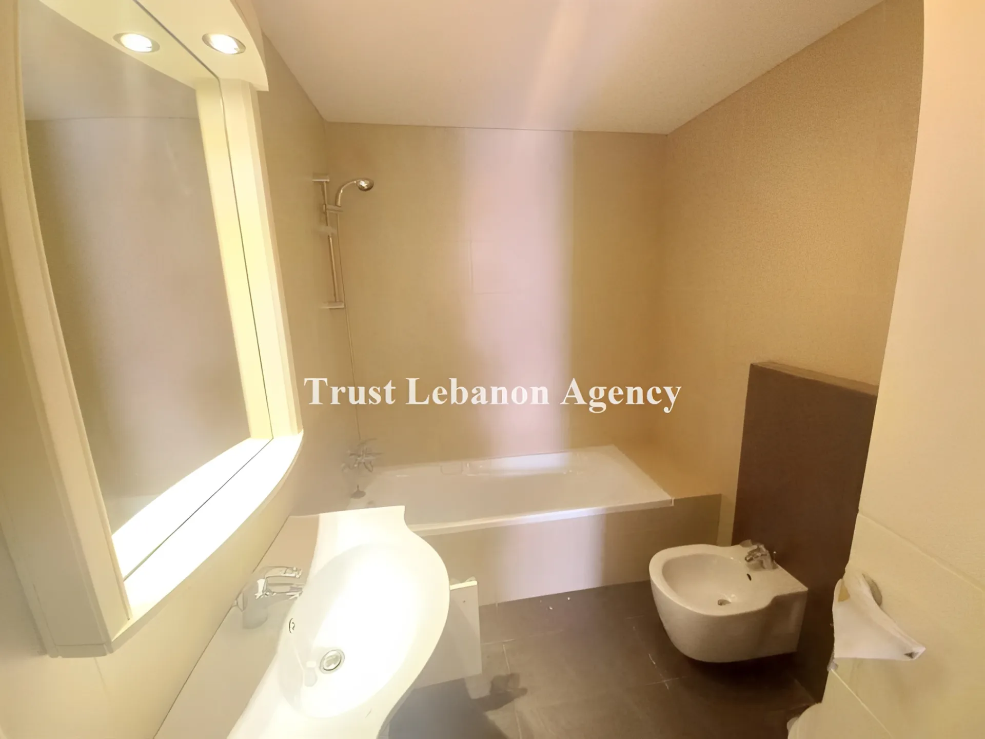 Apartment for Sale in Baabda Baabda Lebanon