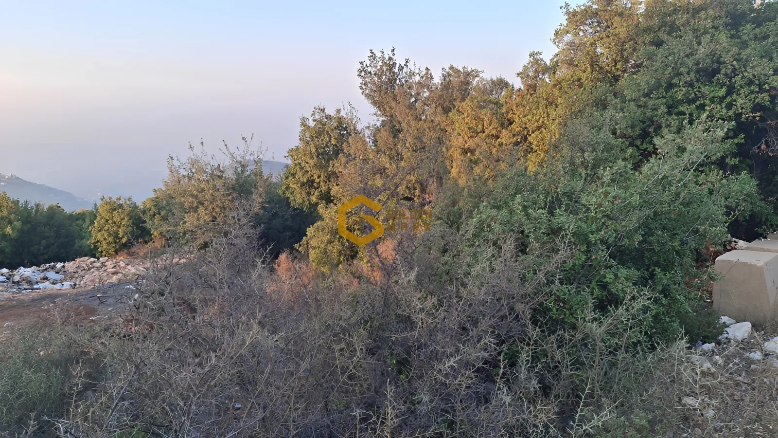 Land for Sale in Barhalioun
