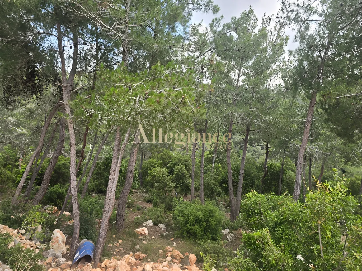 Agricultural Land for sale in Borjein, Lebanon
