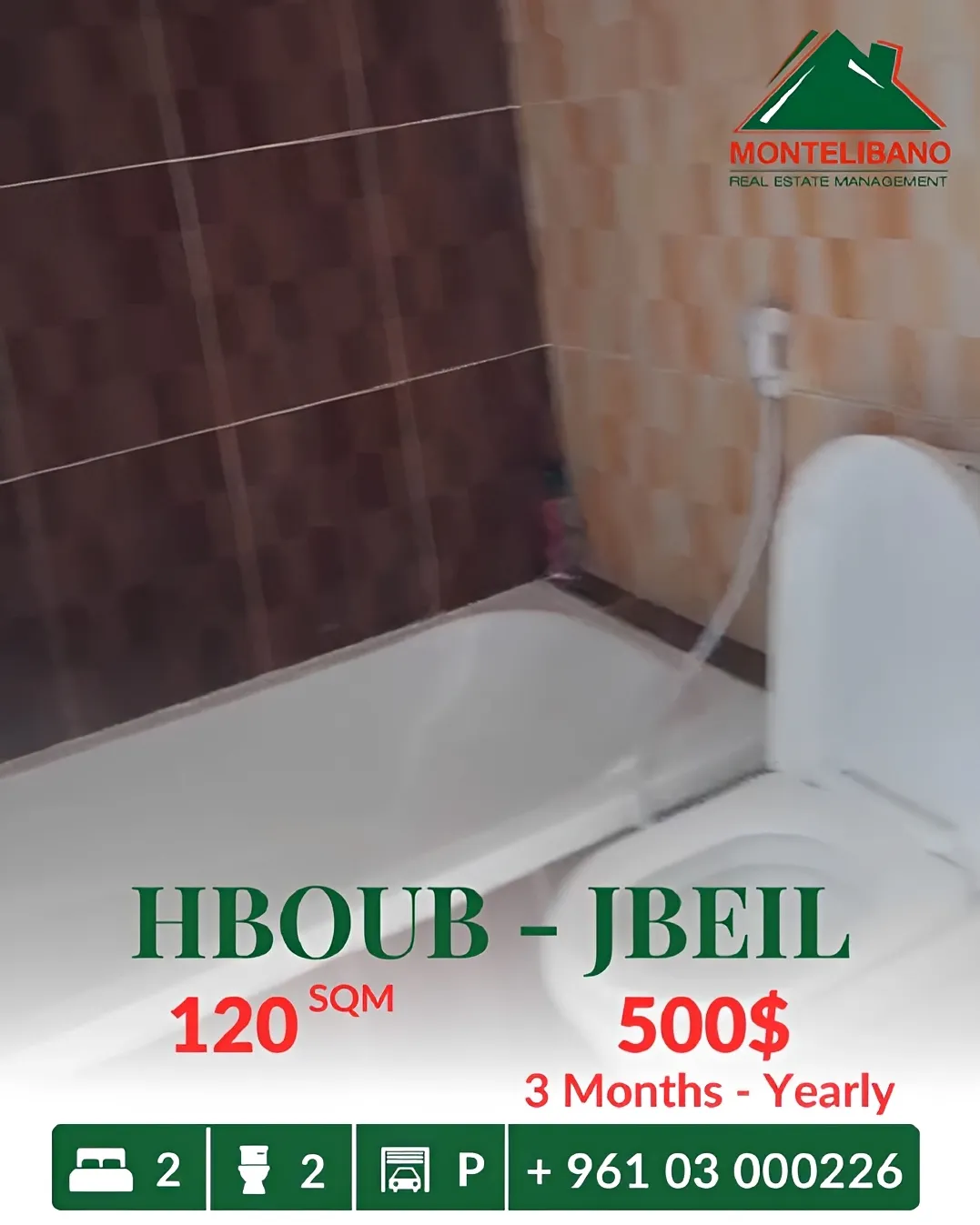 Apartment for rent in Habboub, Lebanon