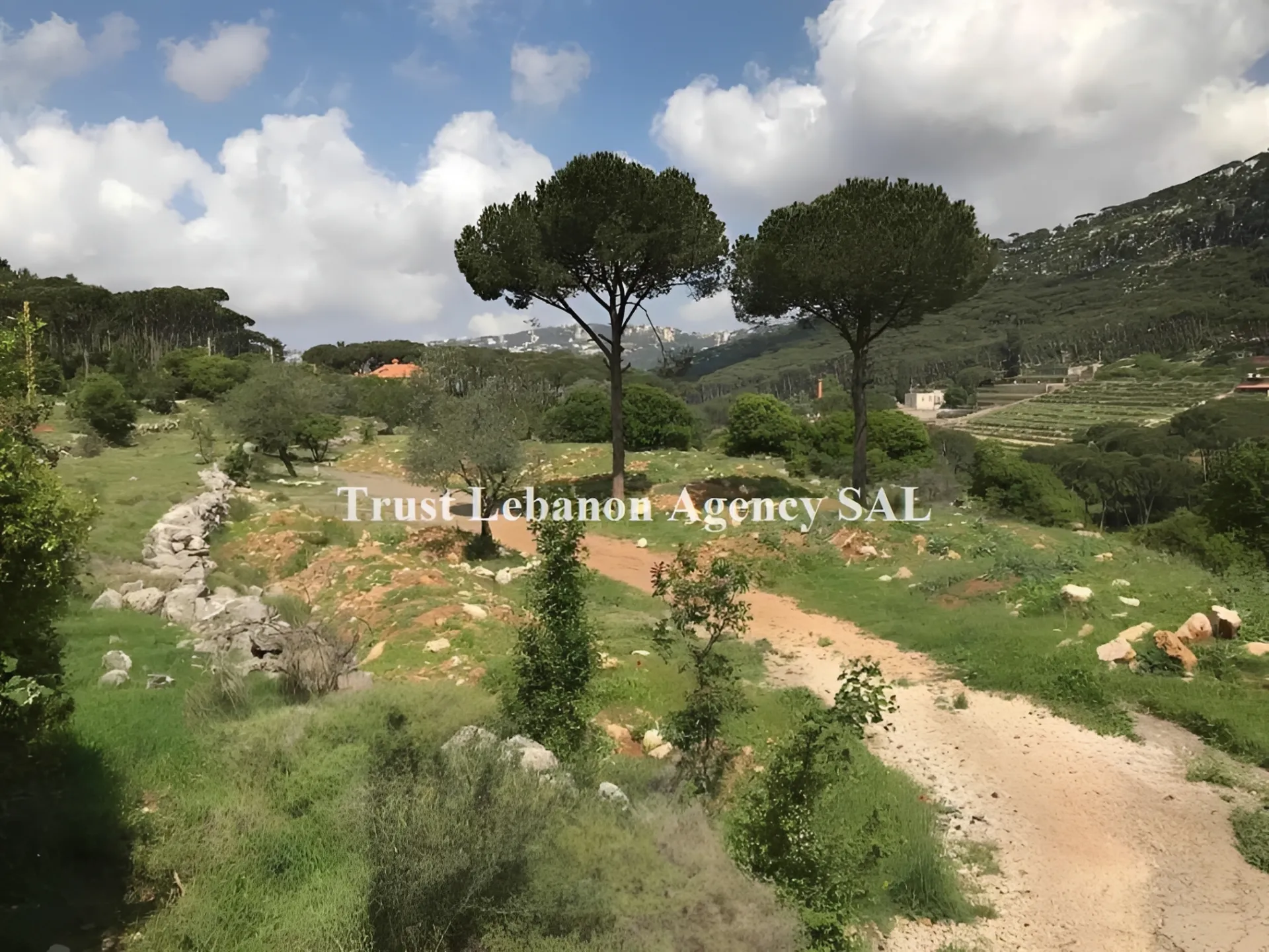 Land for Sale in Arsoun