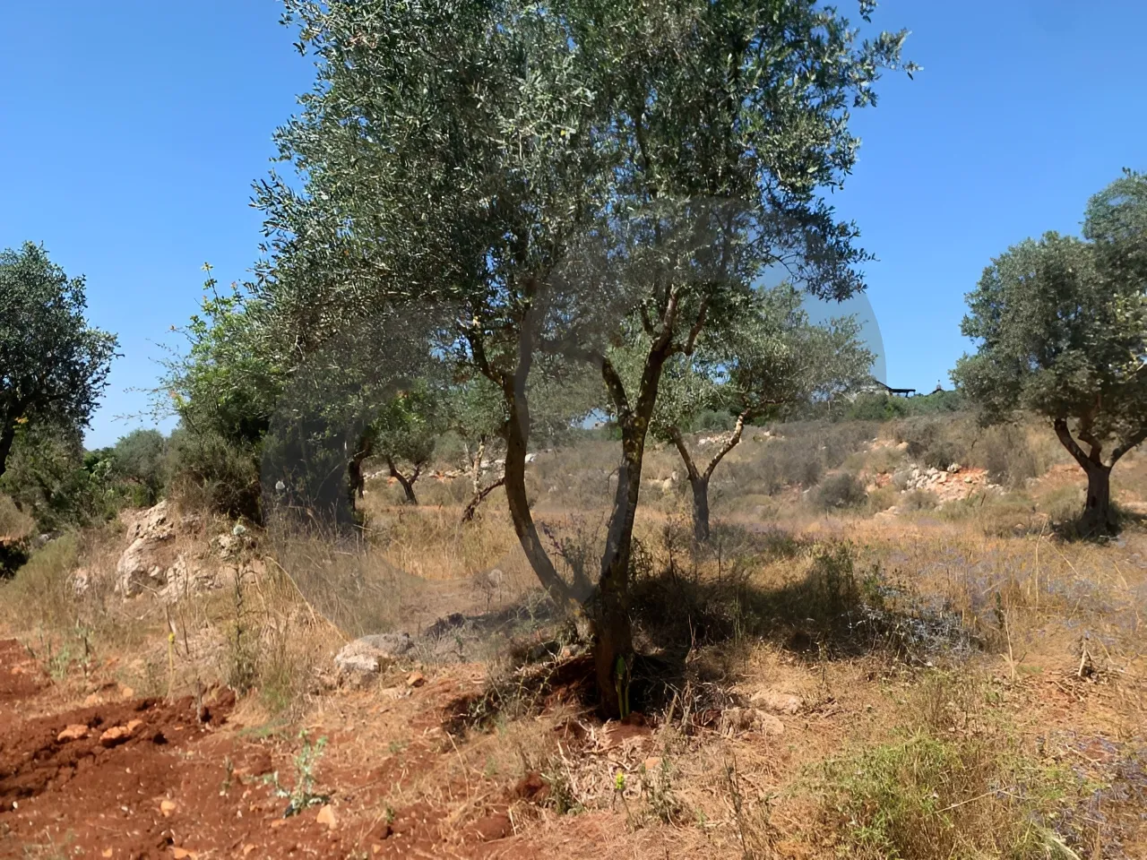 Land for Sale in Koura