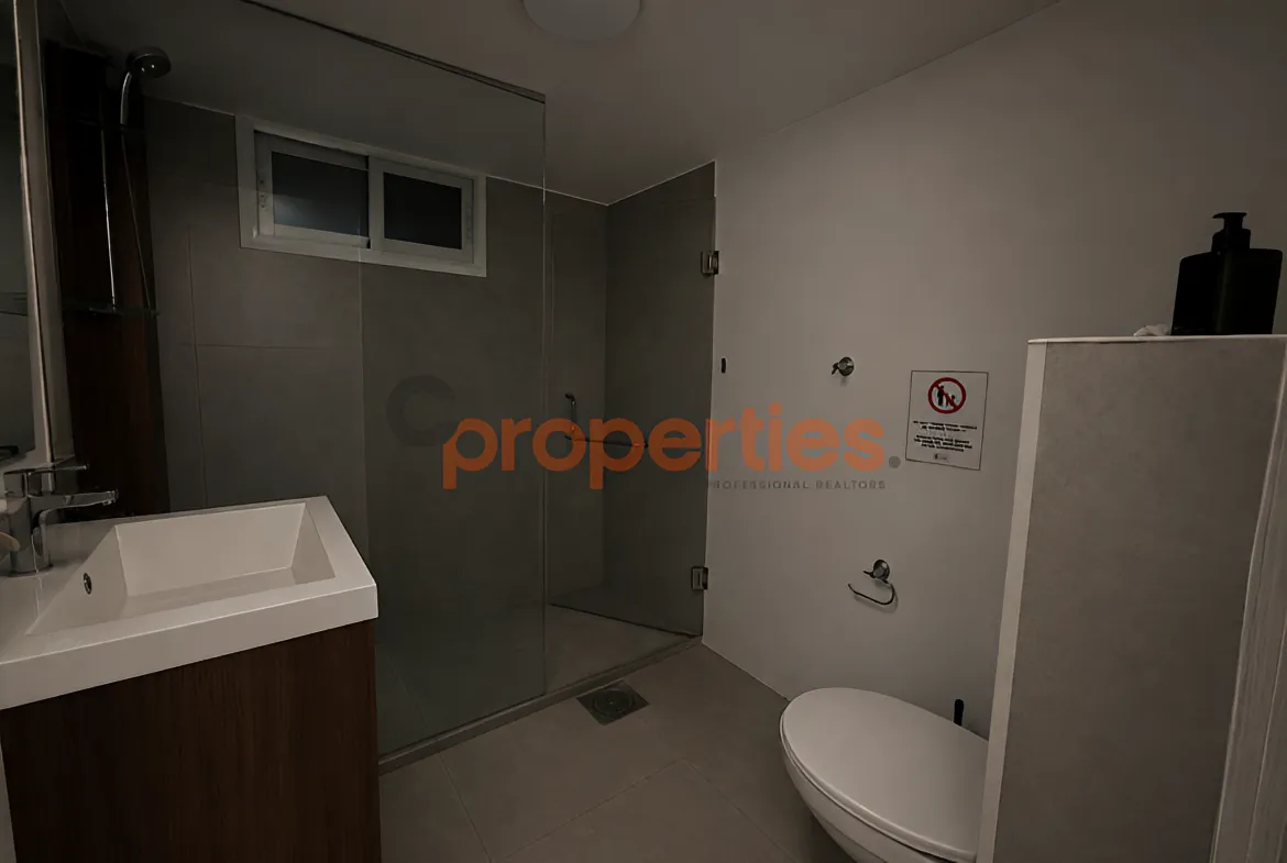 Apartment for Rent in Gemmayzeh