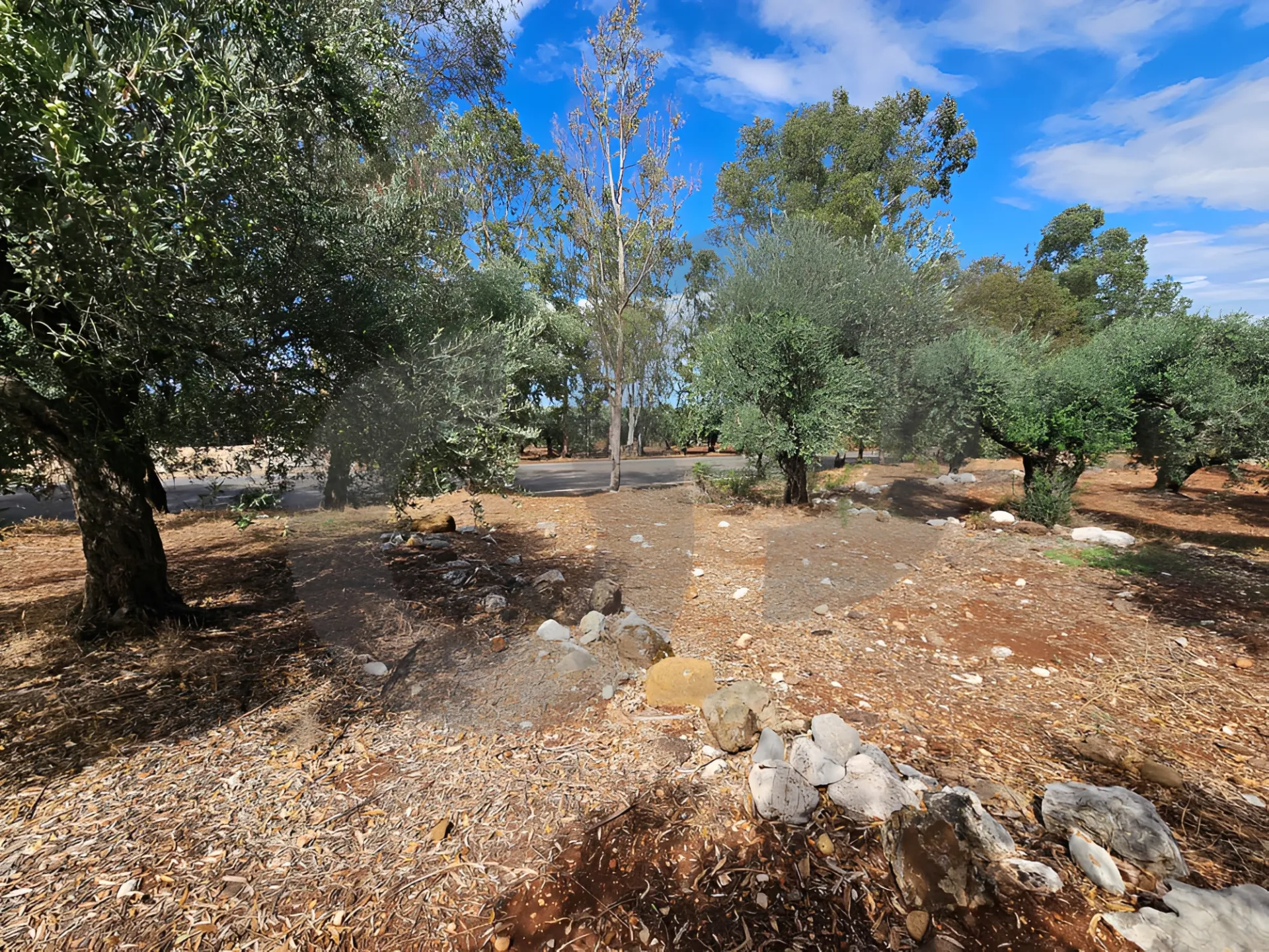 Land for Sale in Zgharta