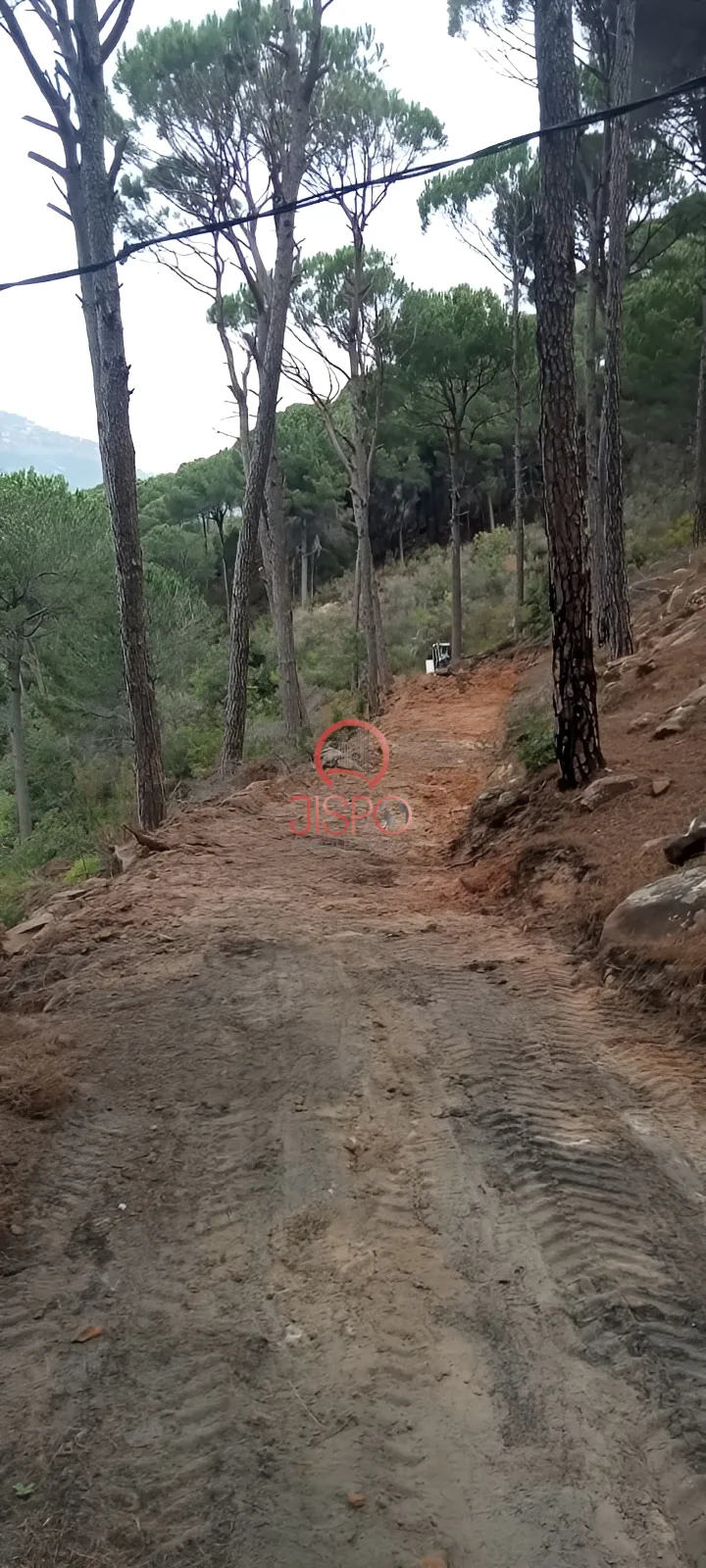 Land for Sale in Aley