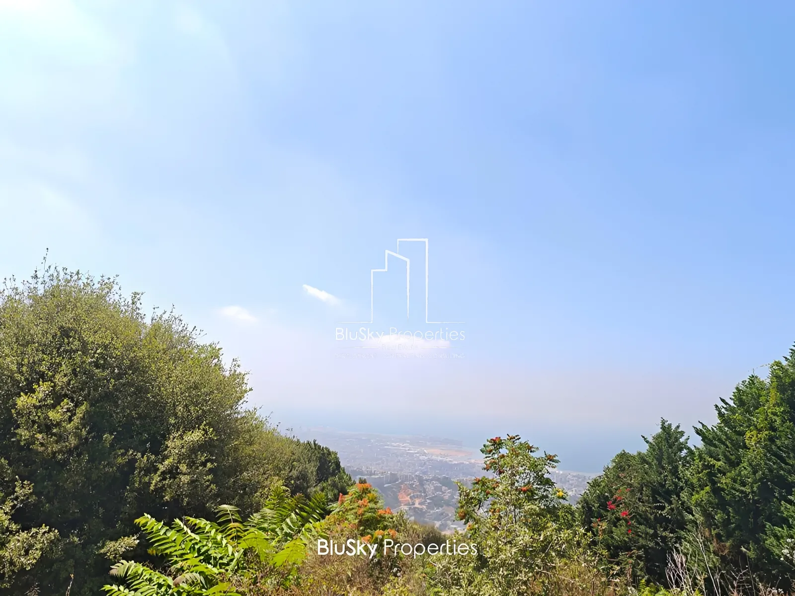 Land for Sale in Ain Saade