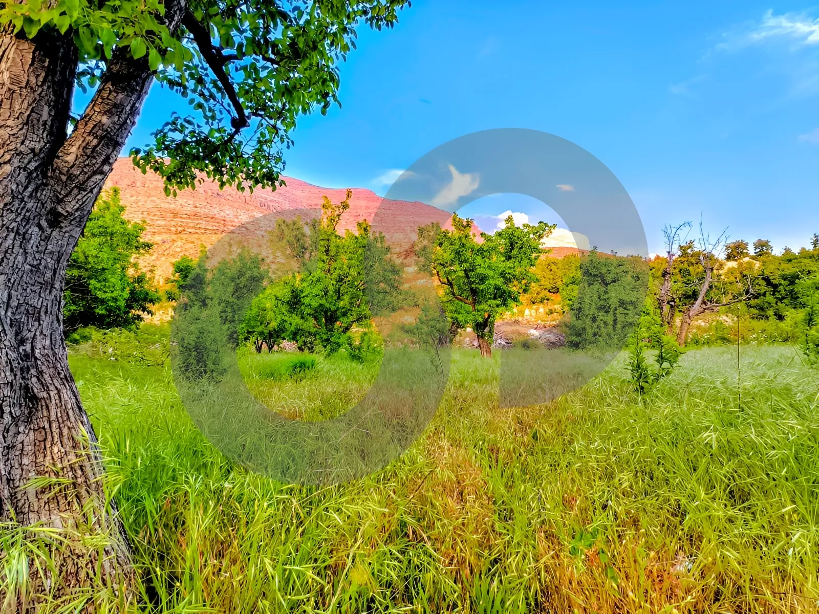 Land for Sale in Ehden