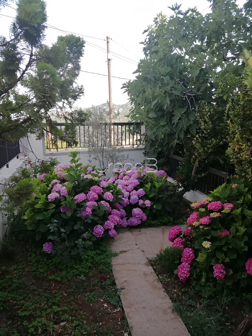 Residential in Faitroun, lebanon
