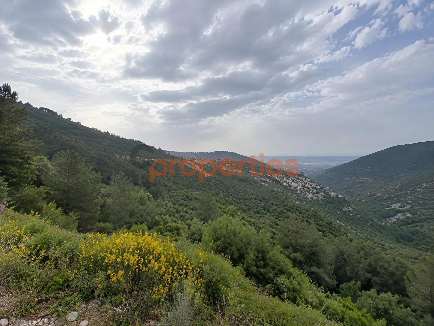 Residential Land for Sale in Kousba