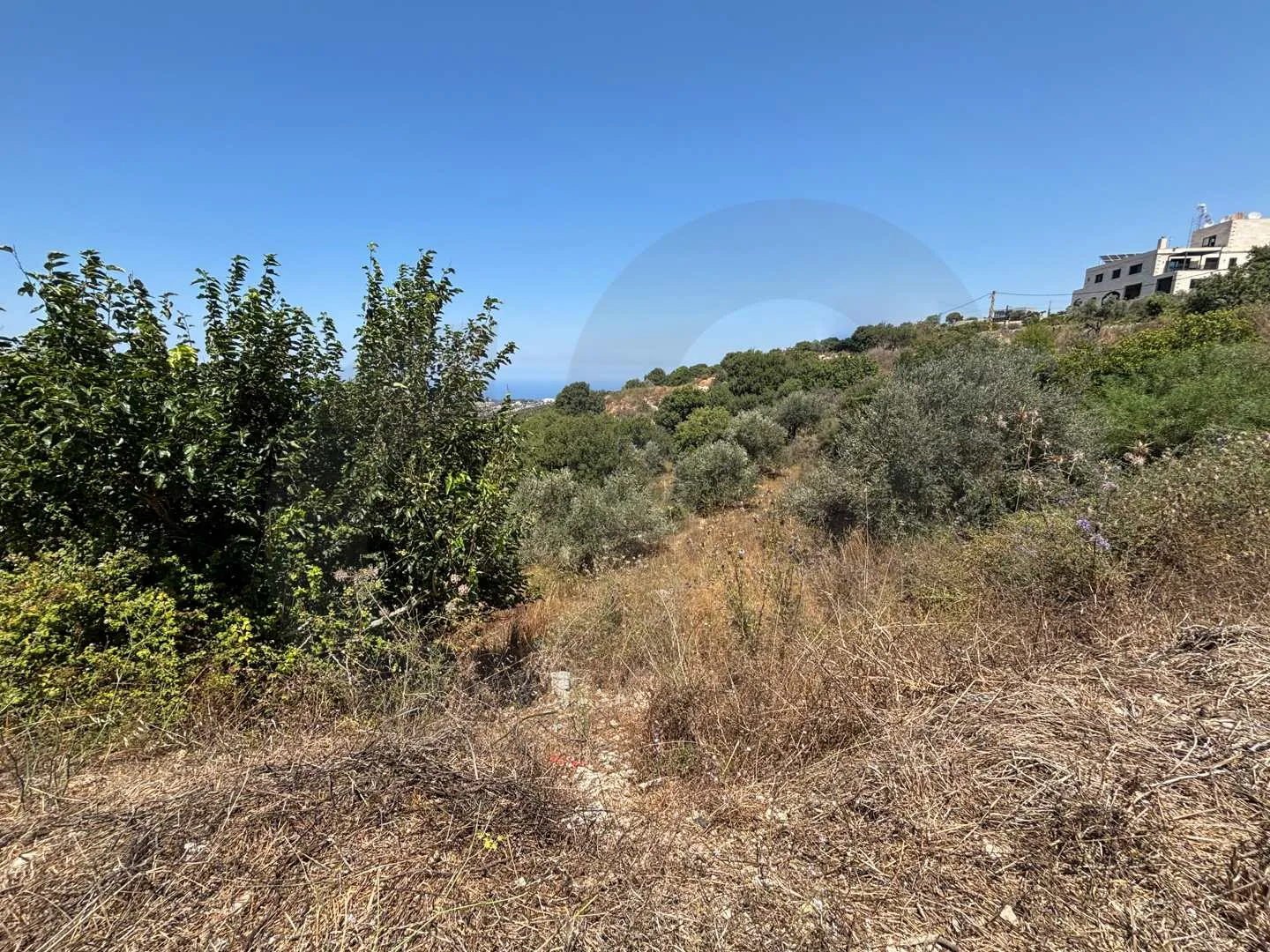 Land for Sale in Batroun