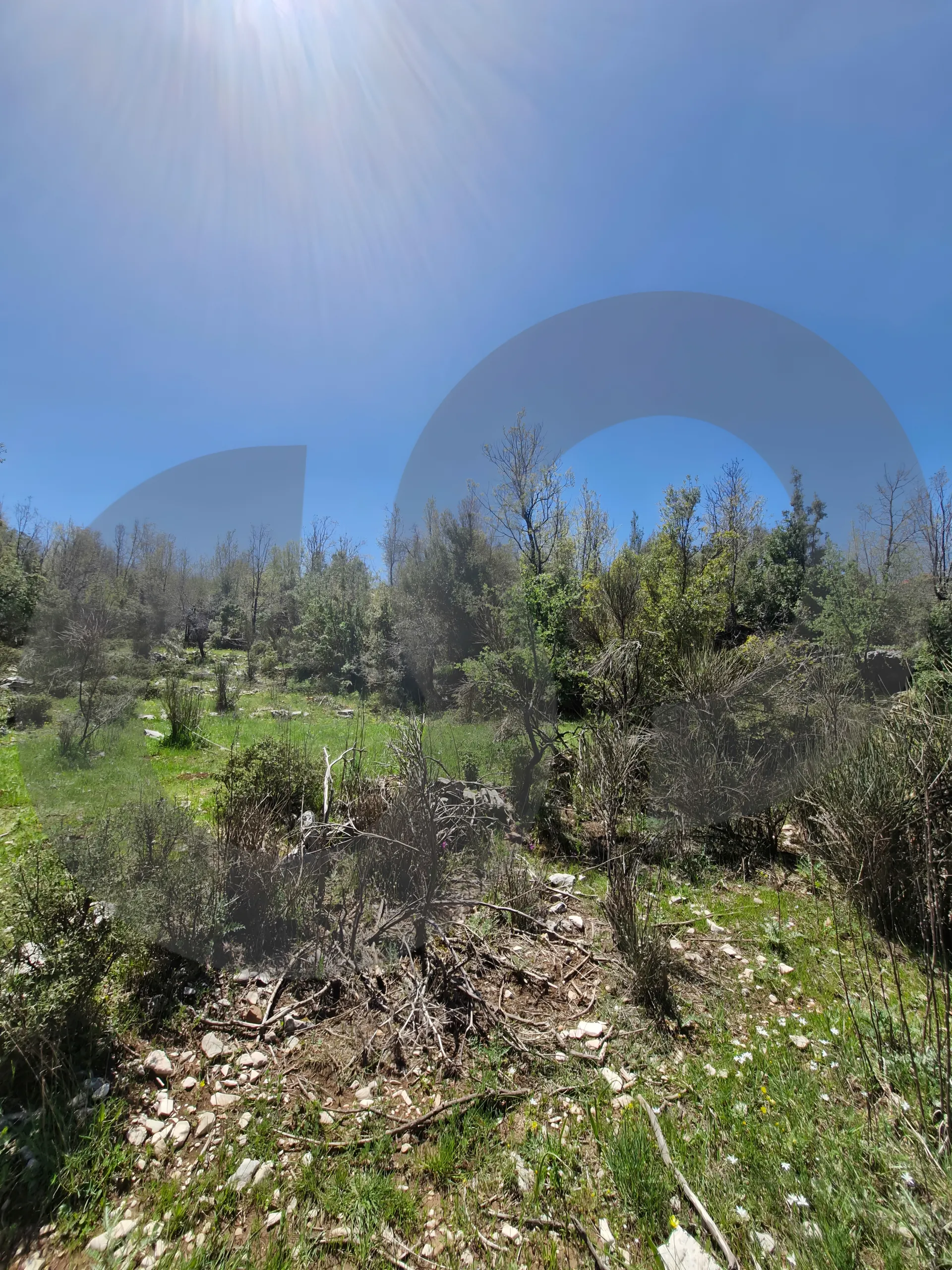 Land for Sale in Mechmech