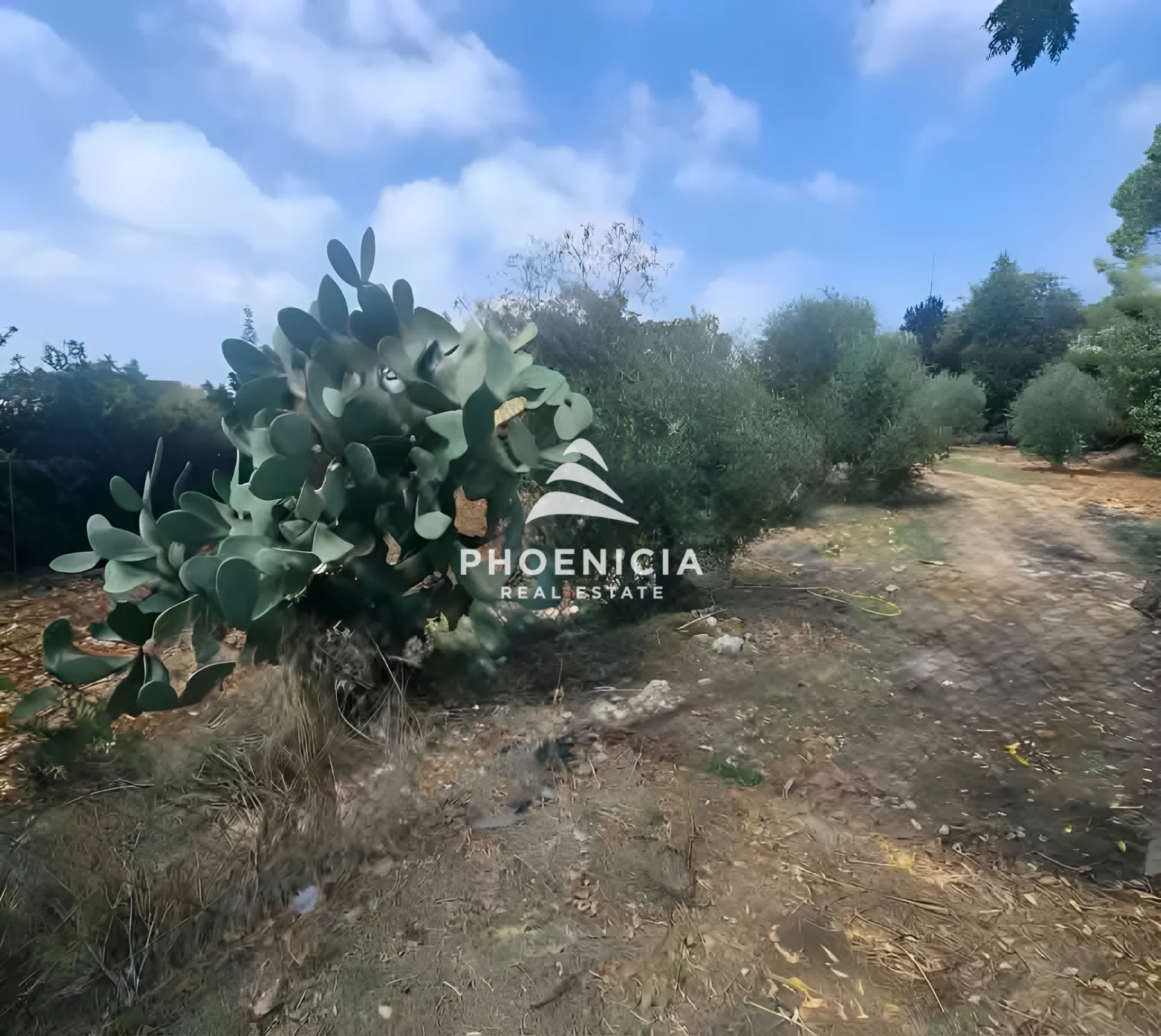 Residential Land for sale in Edde