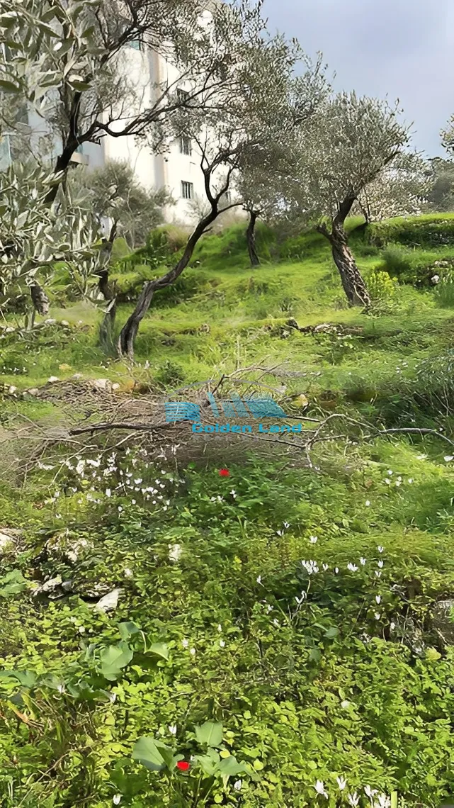 Land for Sale in Aley, Lebanon