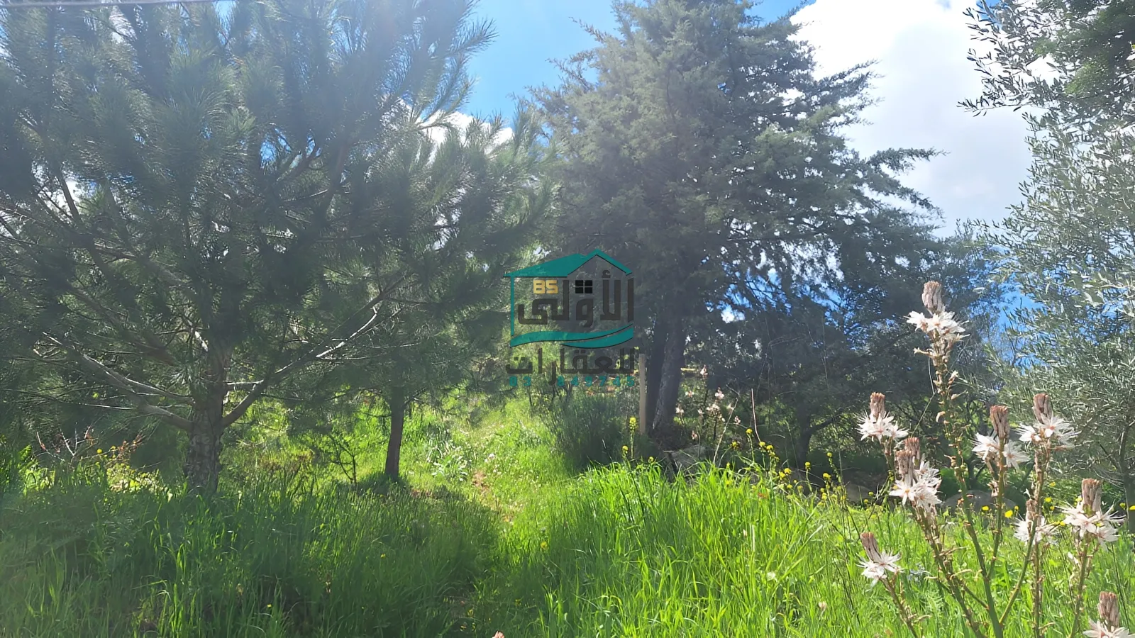 Land for sale in مزرعة الشوف، lebanon