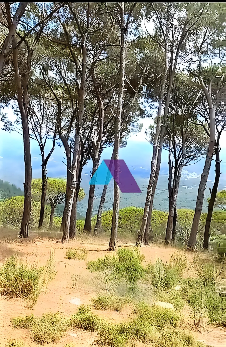 Land for Sale in Broummana