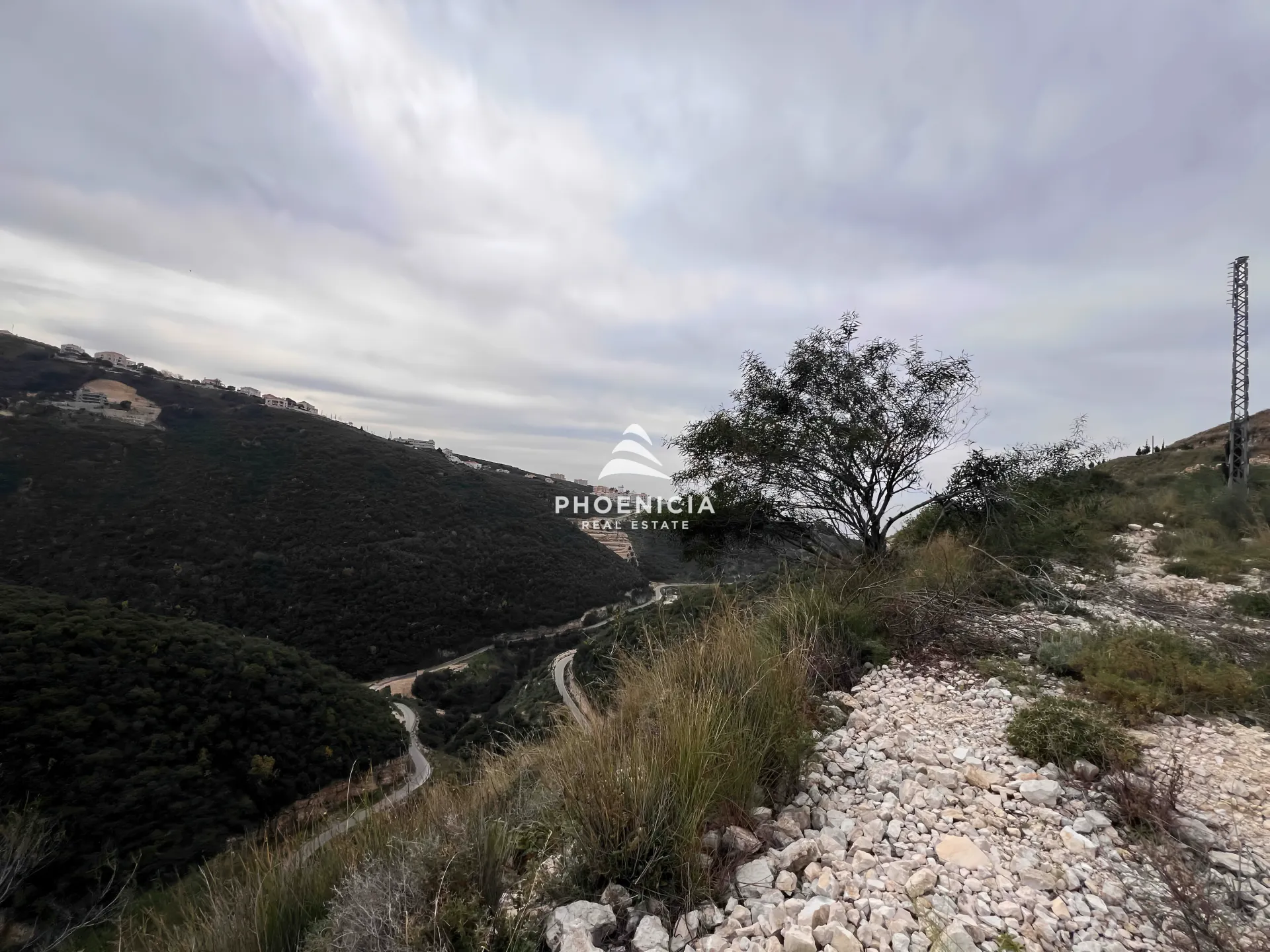 Land for Sale in Edde