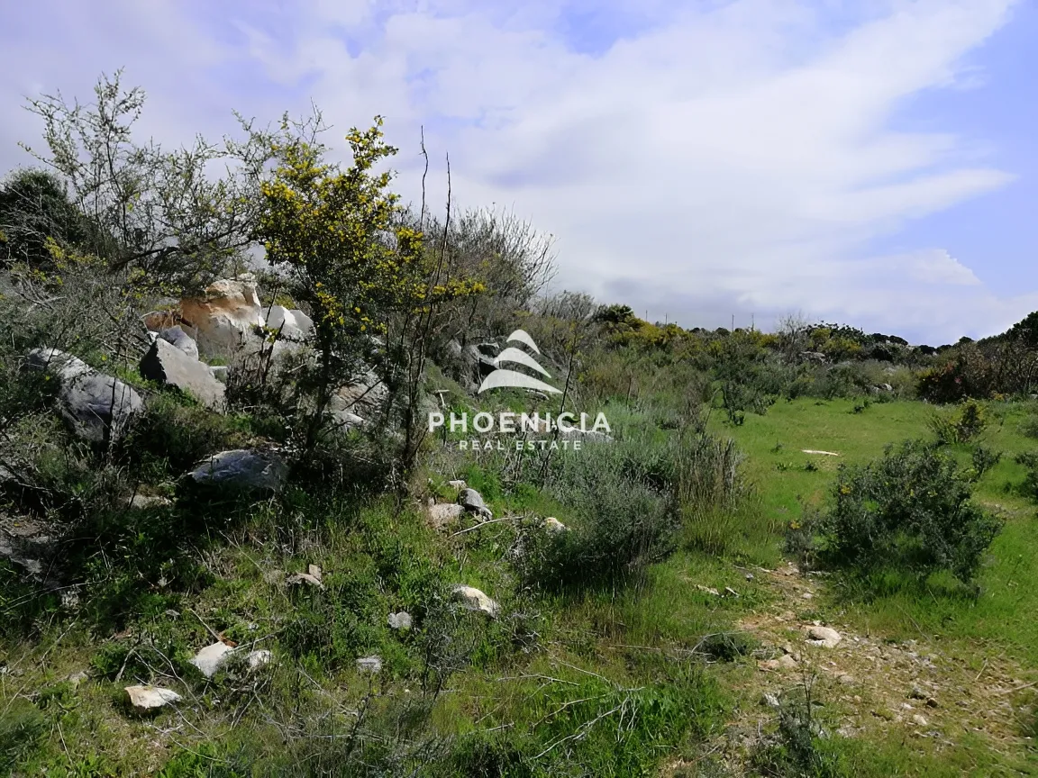 Land for sale in Chikhane, Jbeil, Lebanon