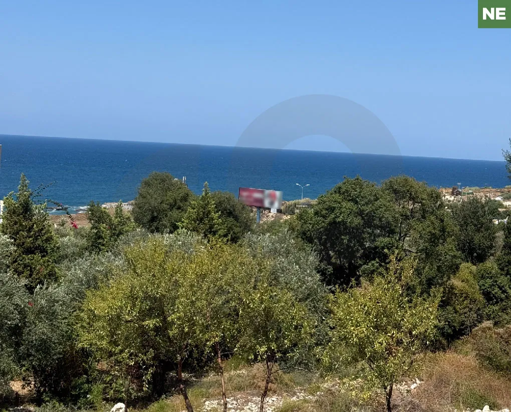 Land for Sale in Barbir