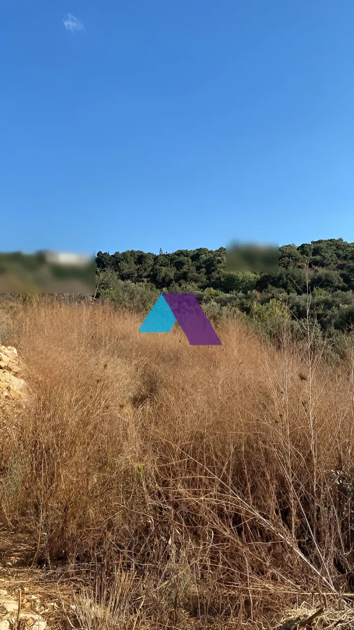 Land for Sale in Batroun