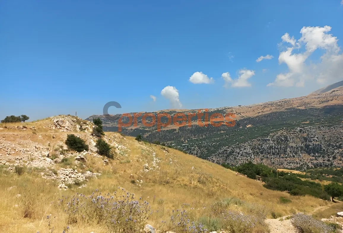 Residential Land for Sale in Zaarour