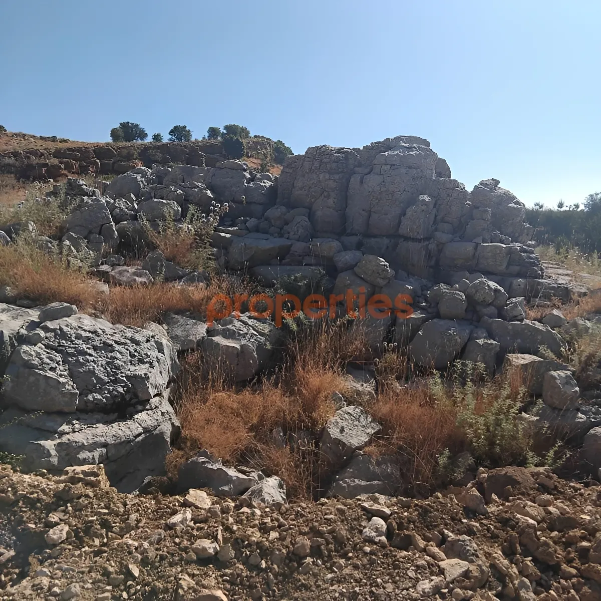 Land for Sale in Baskinta