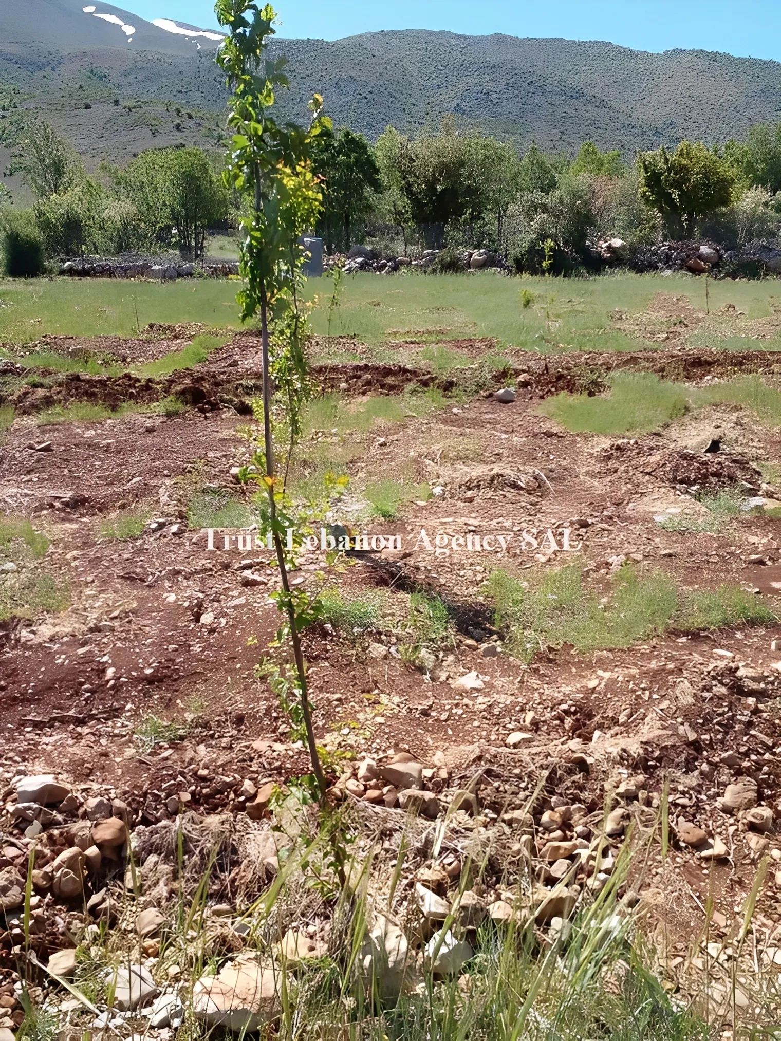 Land for Sale in Rashaya, Ain Ata