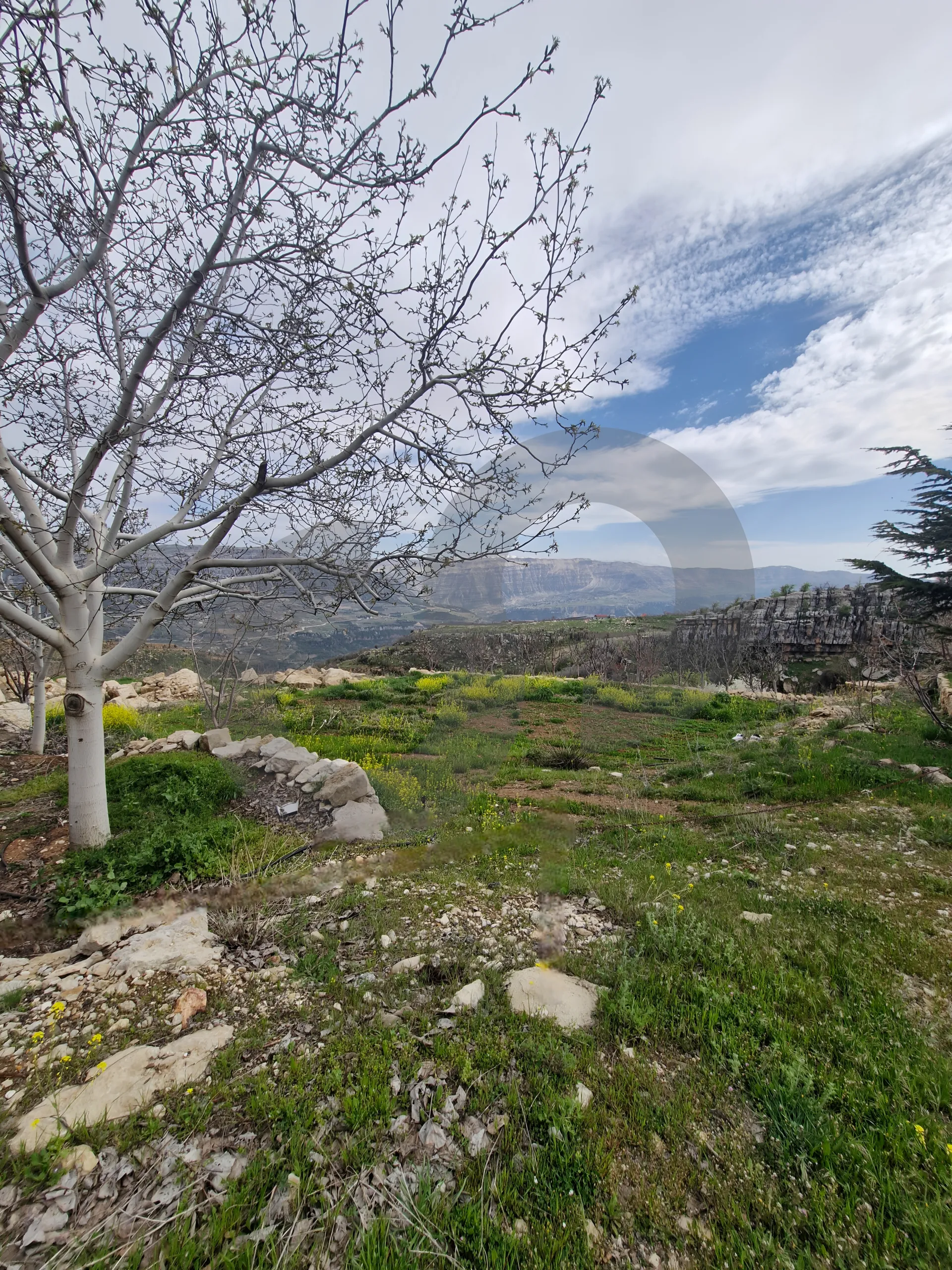 Land for Sale in Byblos