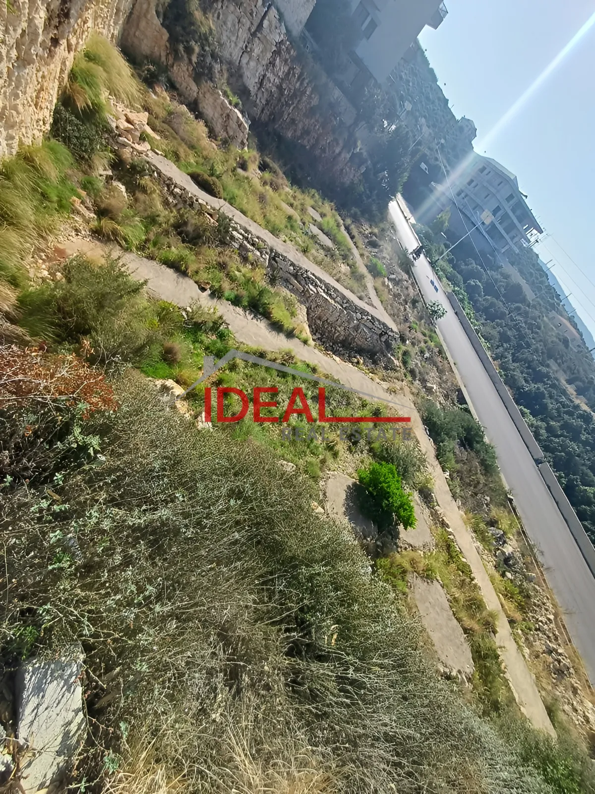 Land for Sale in Edde