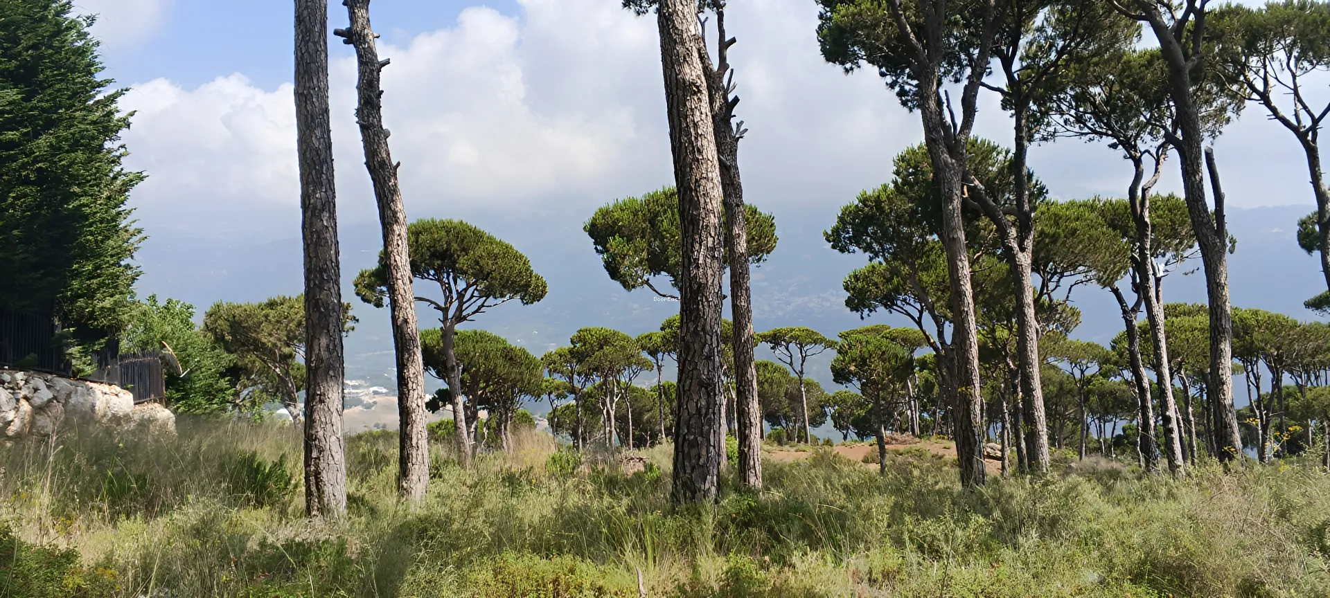 Land for sale in Dhour el choueir, lebanon