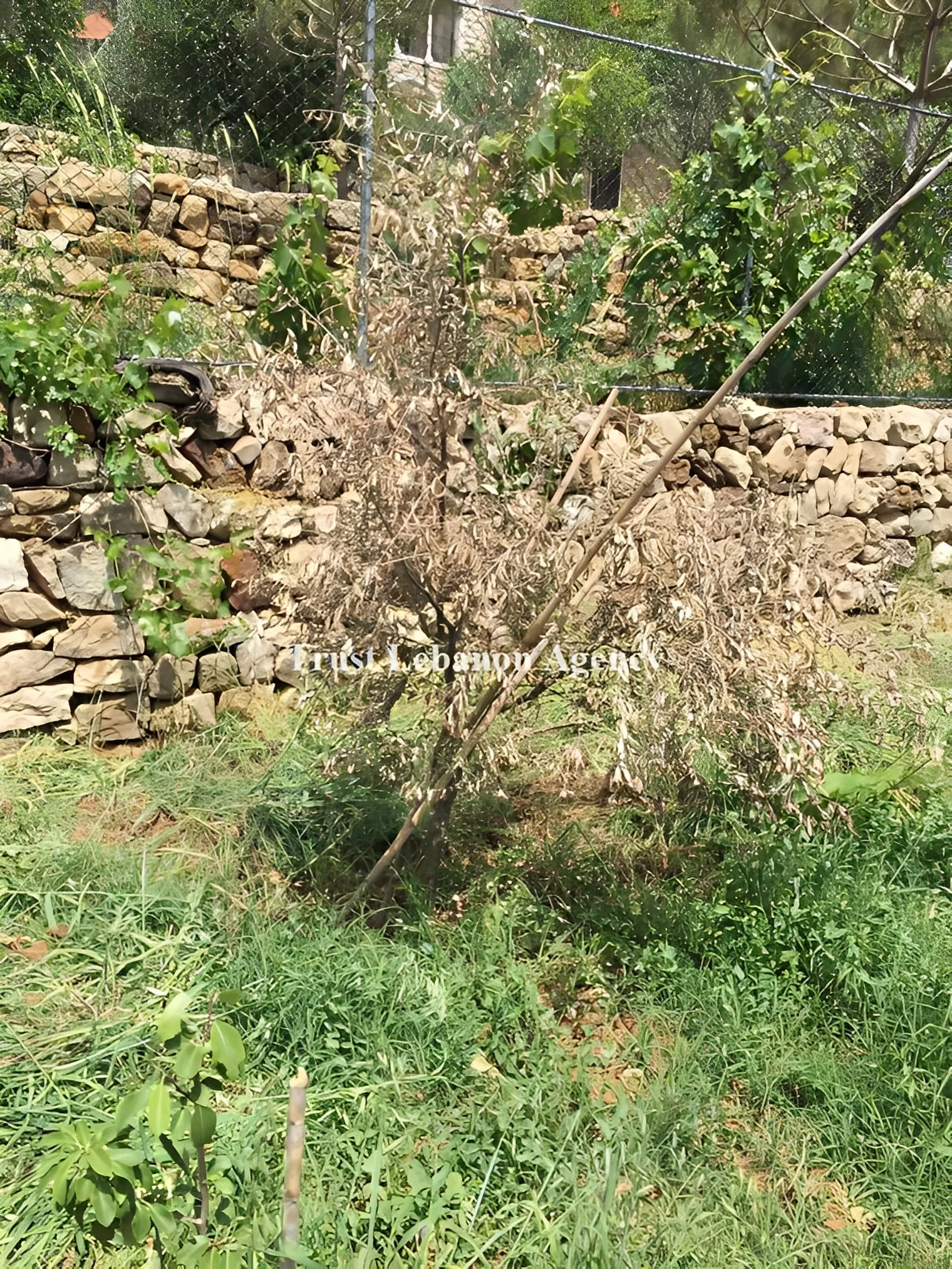 Land for Sale in Metn Dhour Al Chweir Lebanon