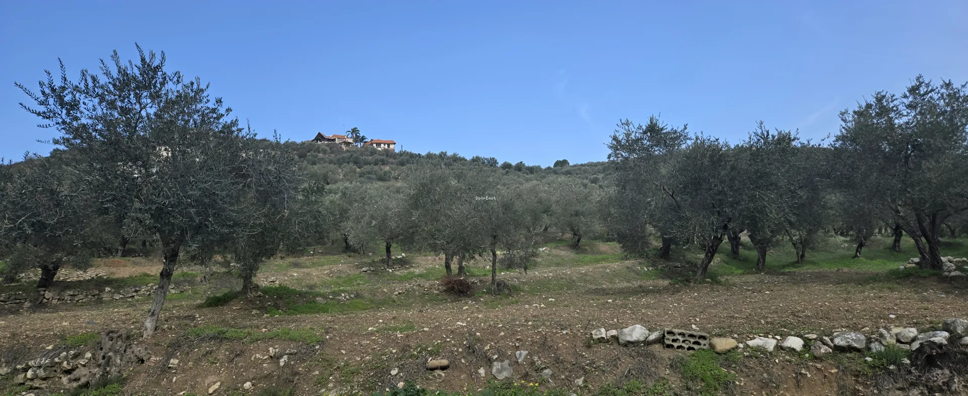 Land for sale in Bziza