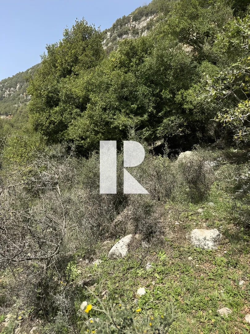 Land for sale in Ehmej, lebanon