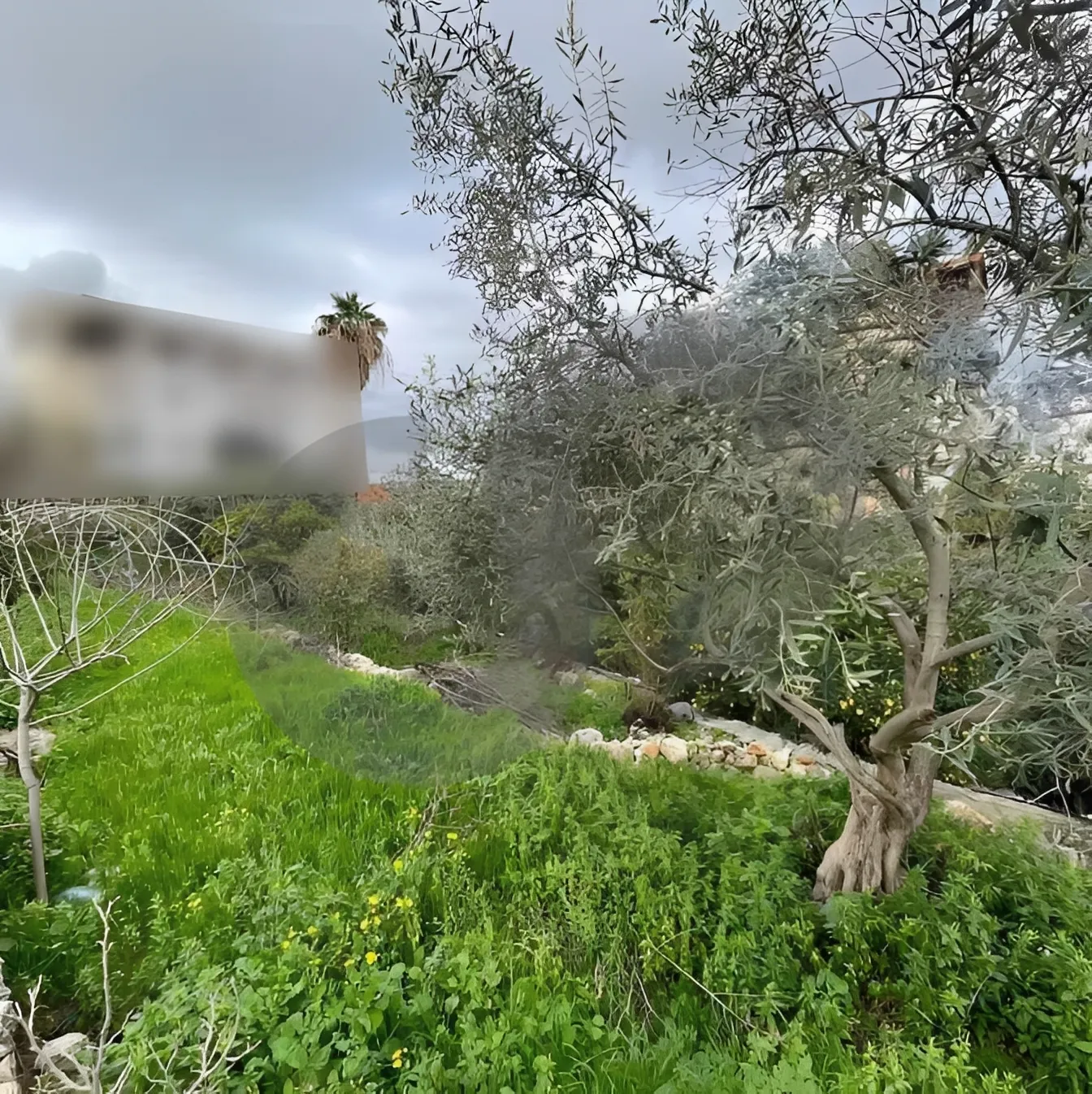 Land for Sale in Byblos, Lebanon