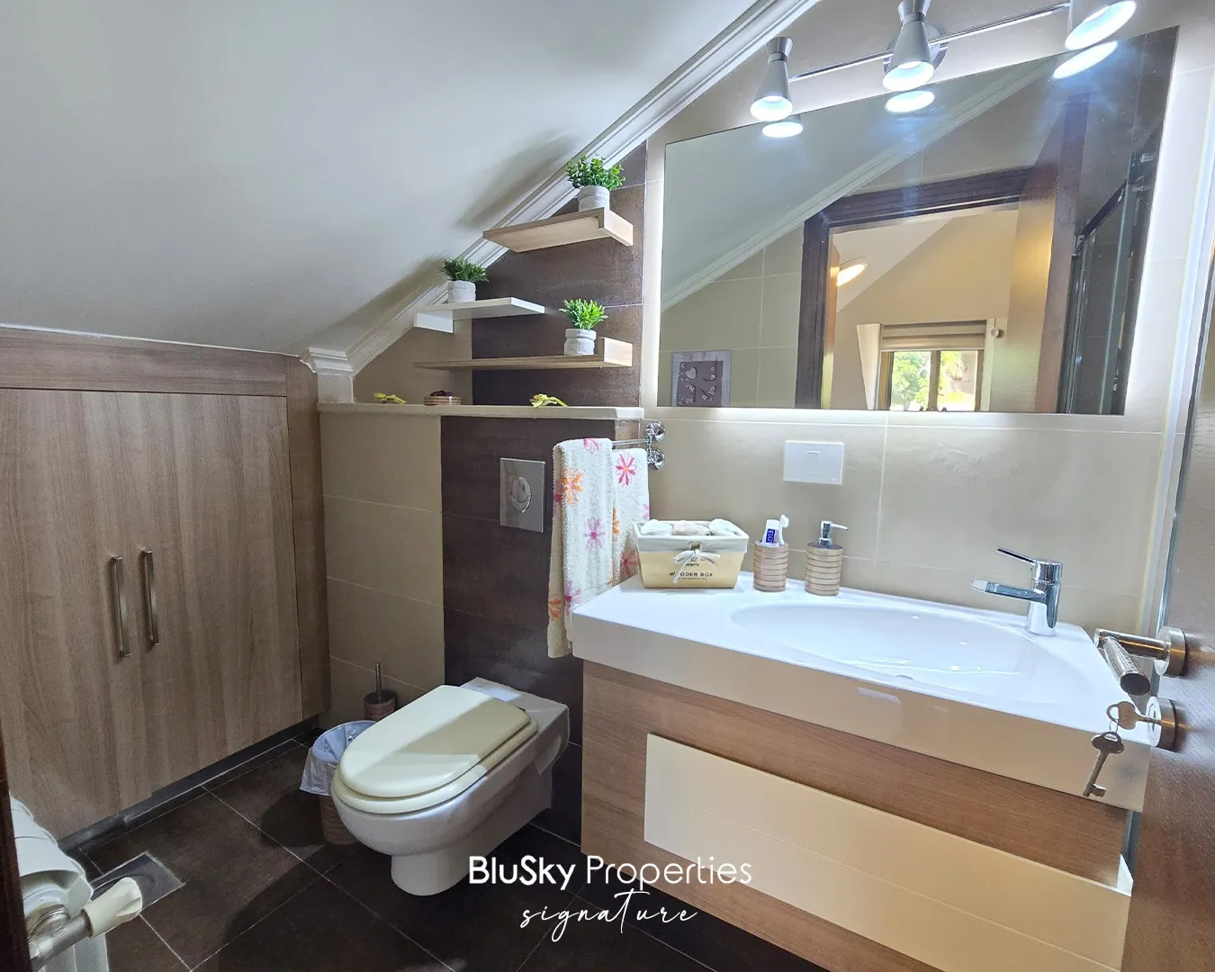 Apartment for sale in Ain saadeh, lebanon