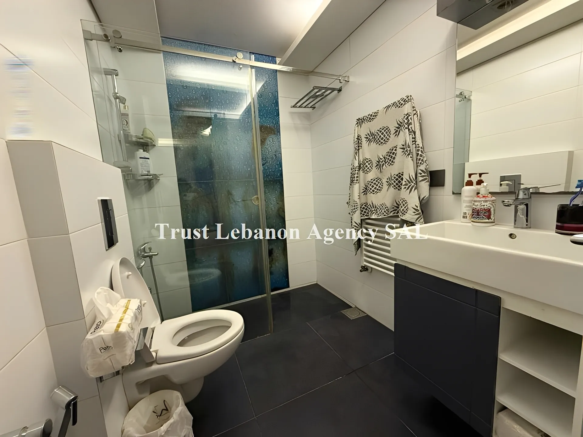 Apartment for Sale in Metn Beit Mery Lebanon