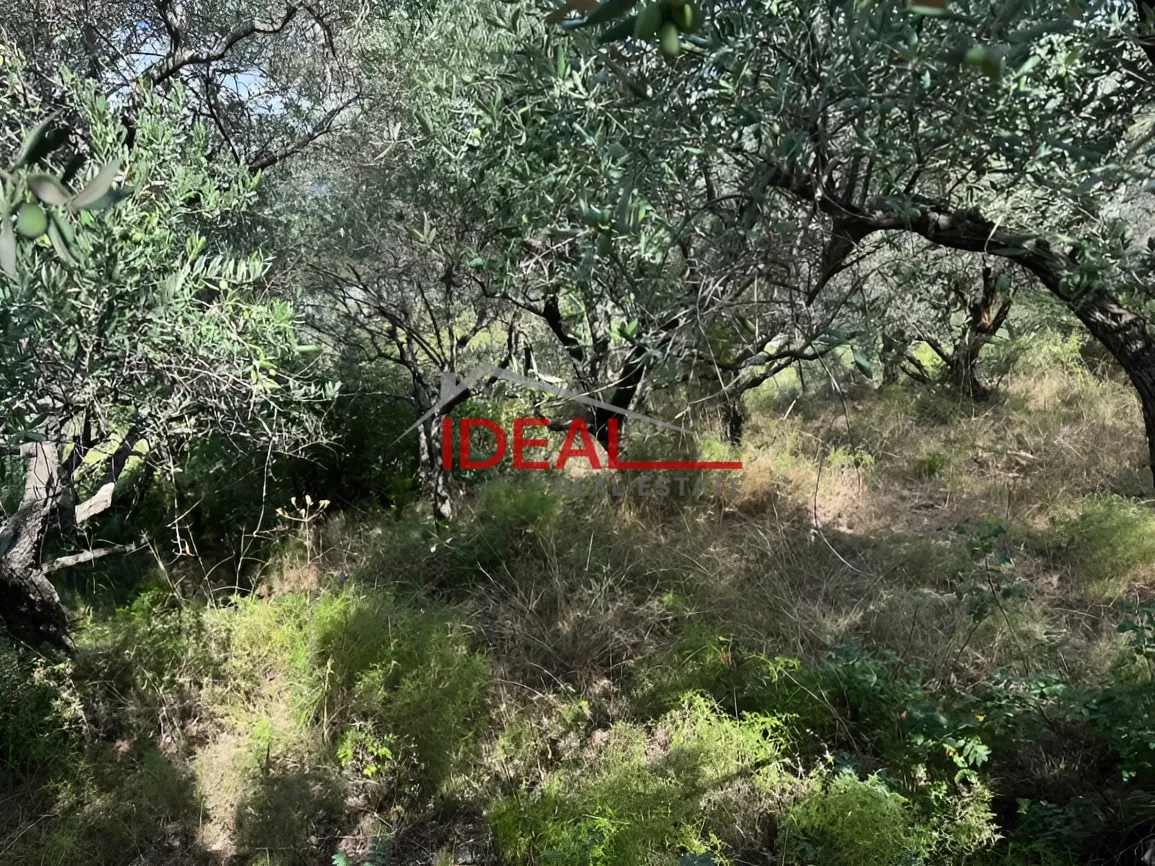 Residential Land for sale in Boqsmaiyya
