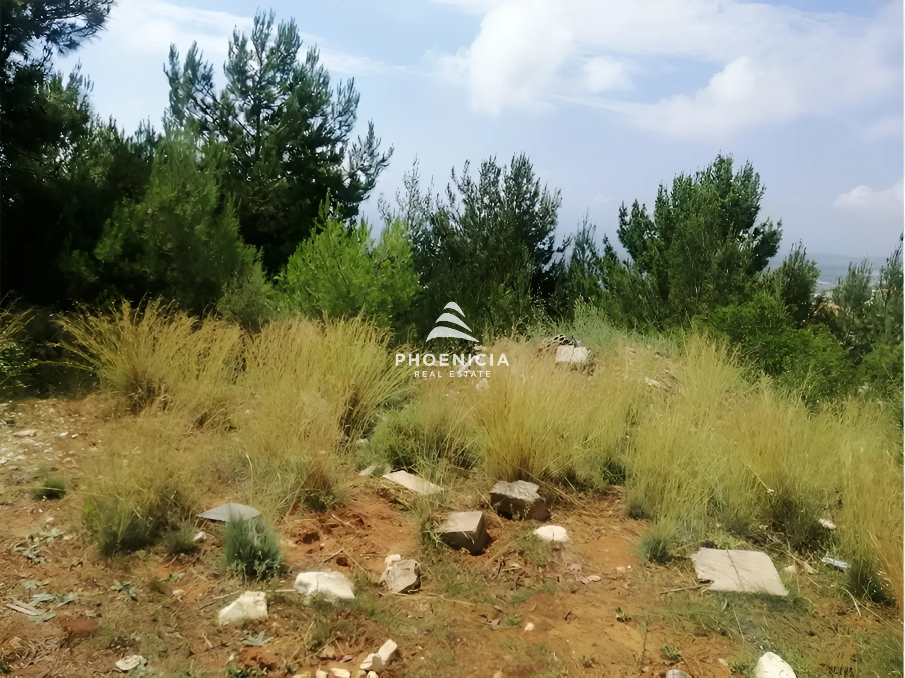 Land for Sale in Blat