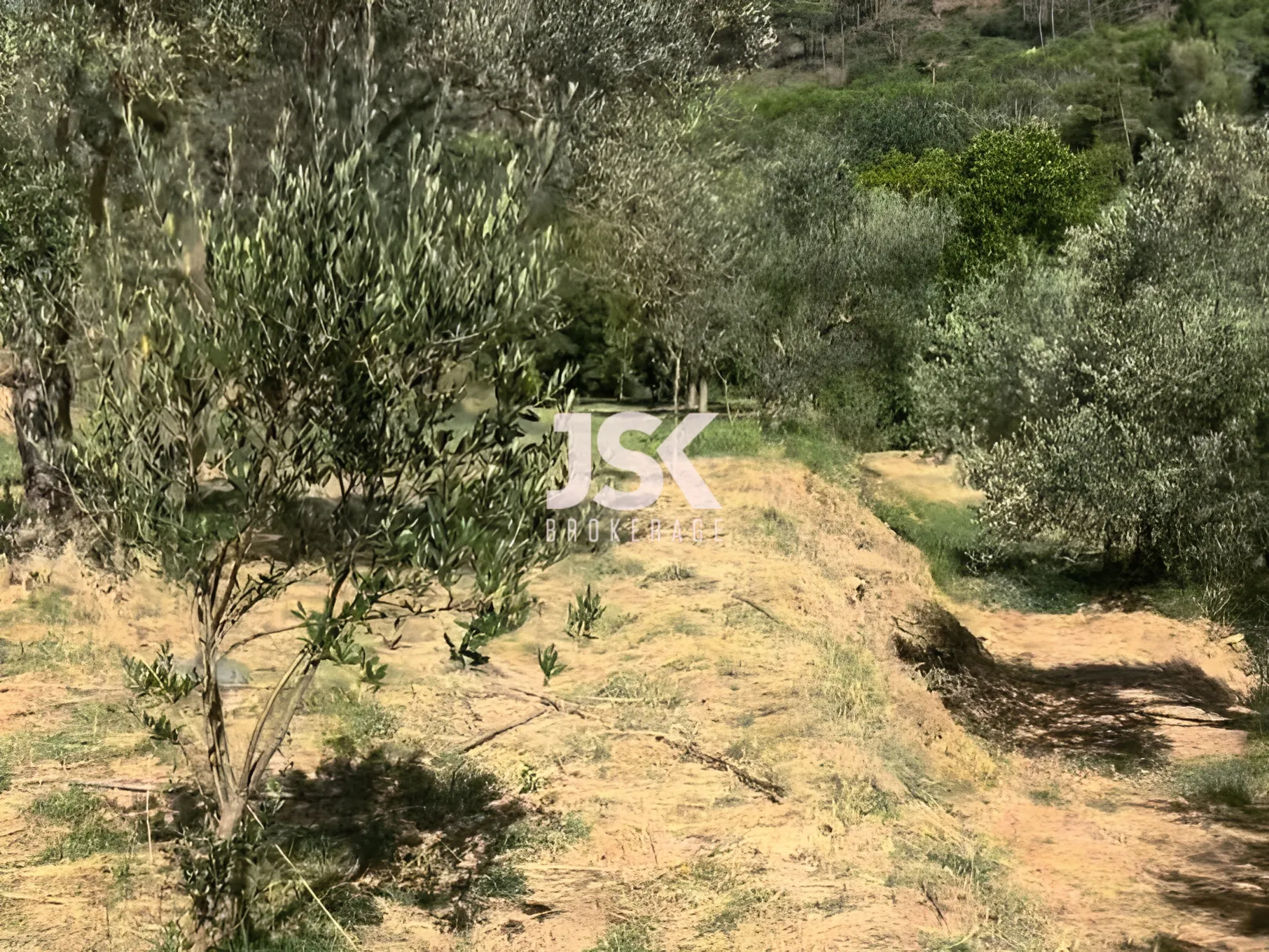 Land for Sale in Aley