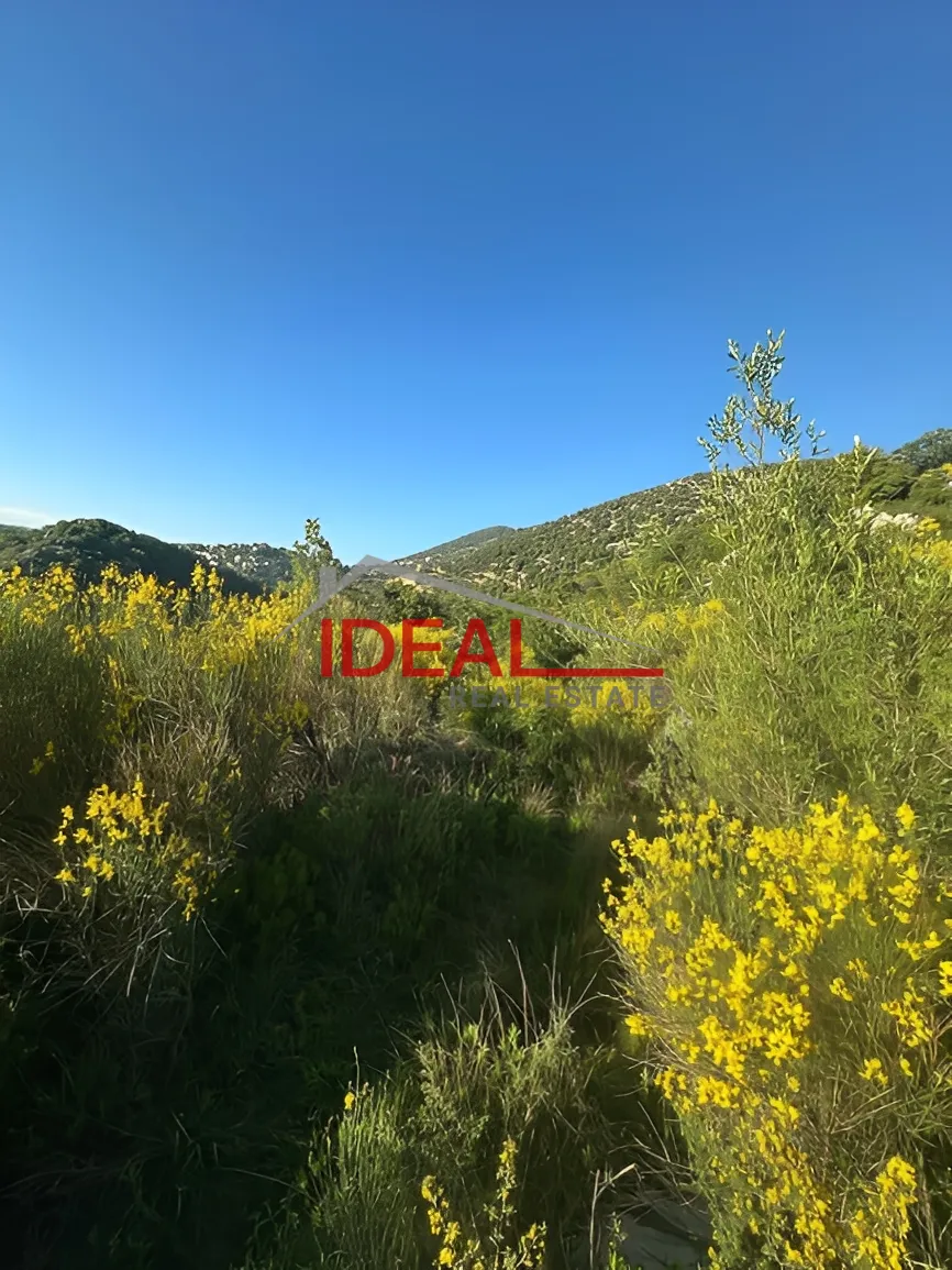 Land for Sale in Jbaa, Lebanon