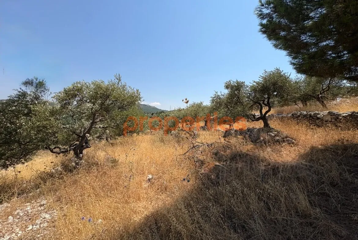 Residential Land for Sale in Chabtine