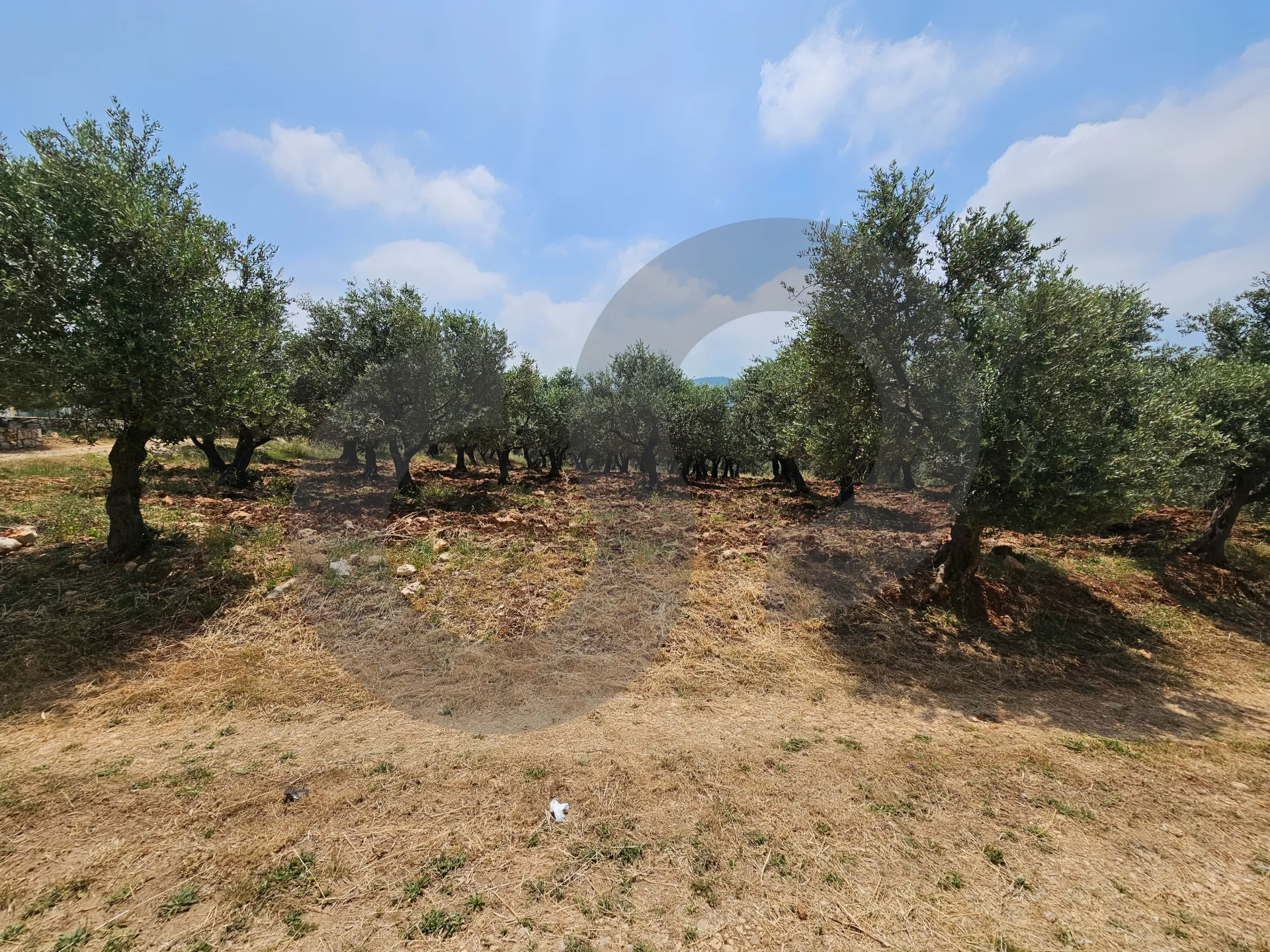 Land for Sale in Koura