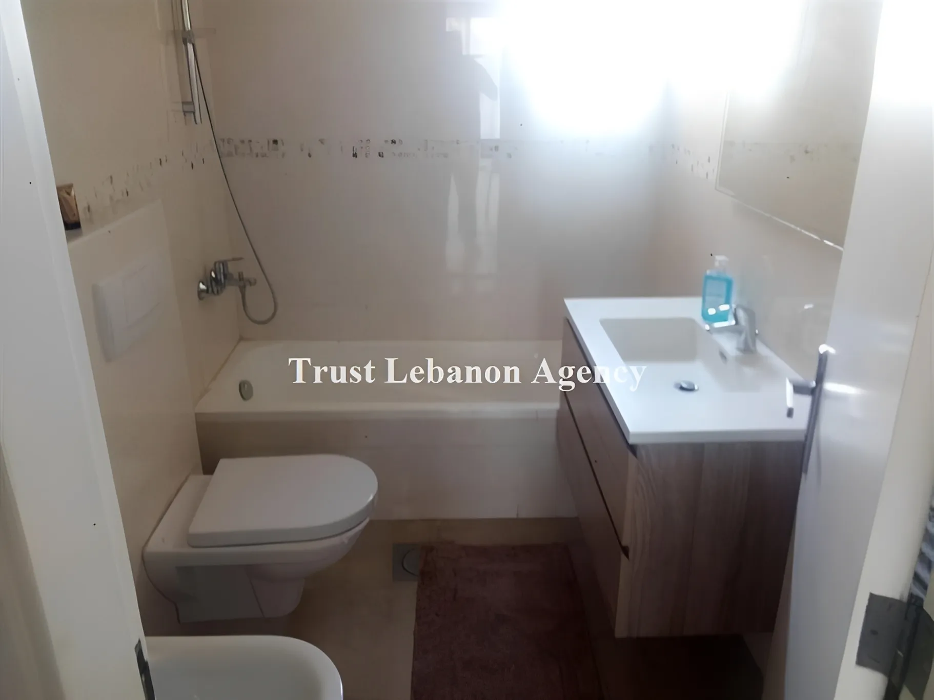 Apartment for Rent in Ashrafieh Beirut Lebanon