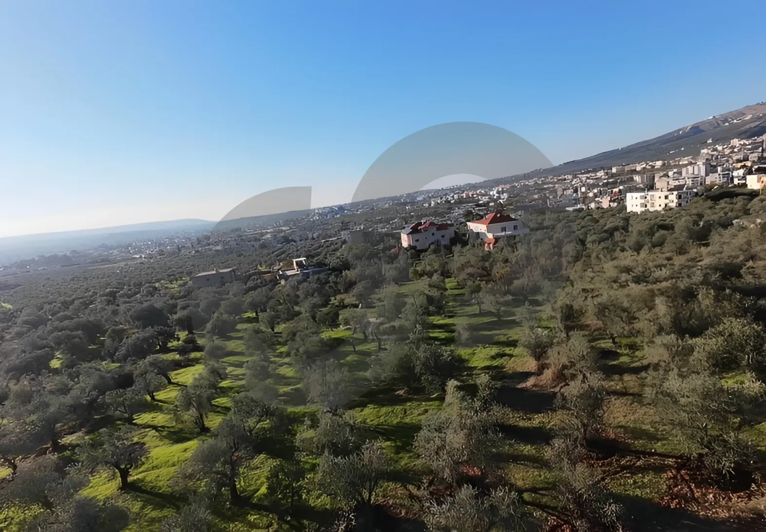 Land for Sale in Zgharta, Lebanon
