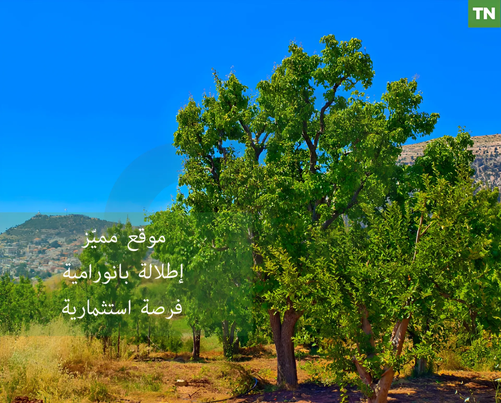 Land for Sale in Ehden