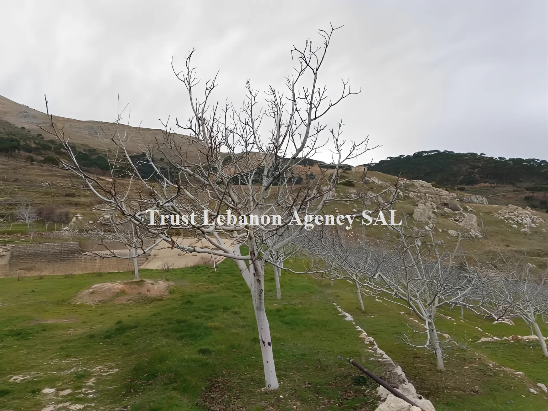 Land for Sale in Baabda Kfarselwan Lebanon