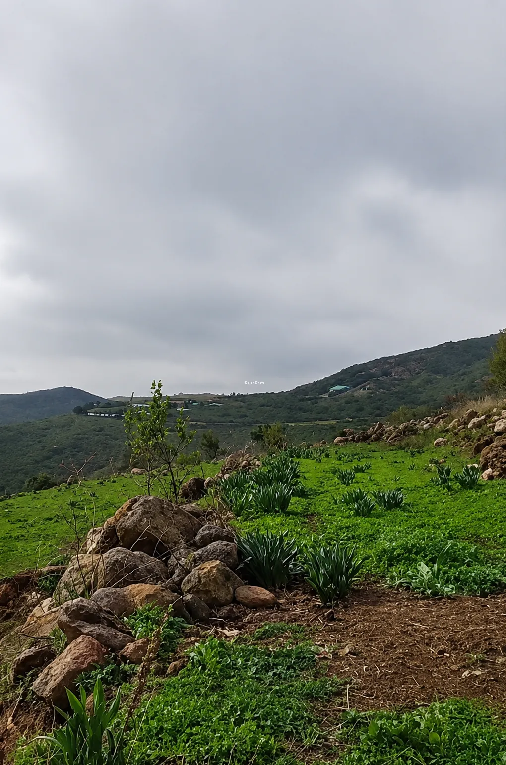 Land for sale in حاصبيّا، لبنان