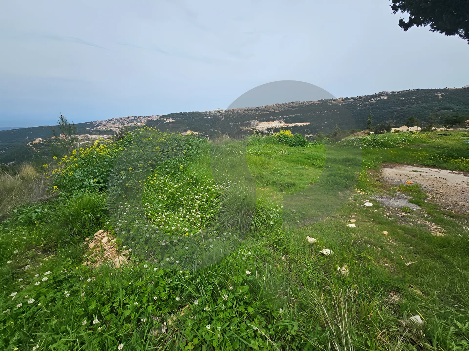 Land for Sale in Zgharta