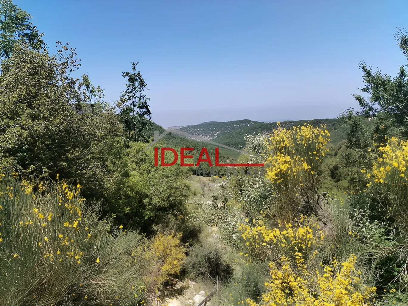 Land for Sale in Mechmech, Lebanon