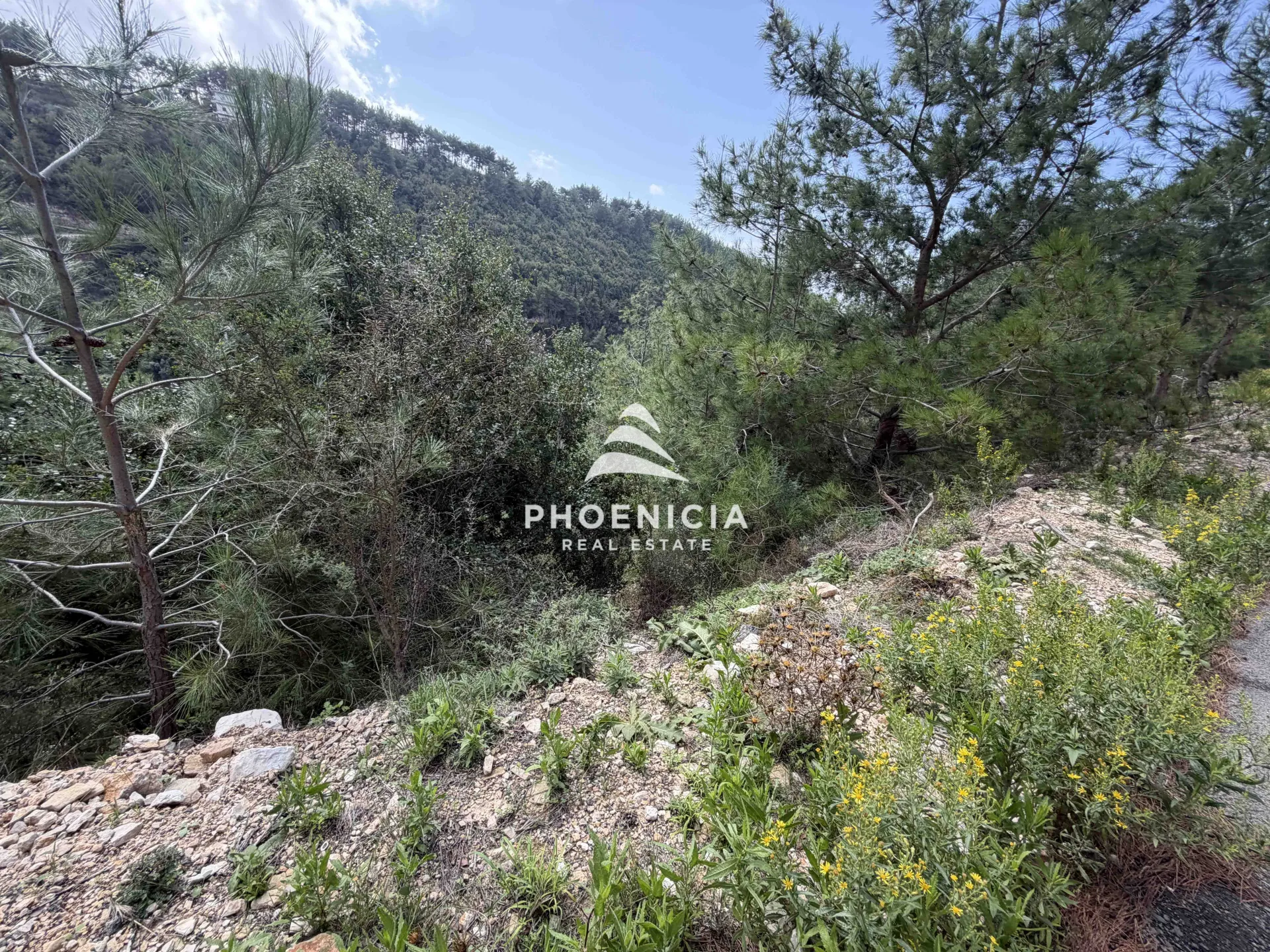 Residential Land for sale in Maaysrah