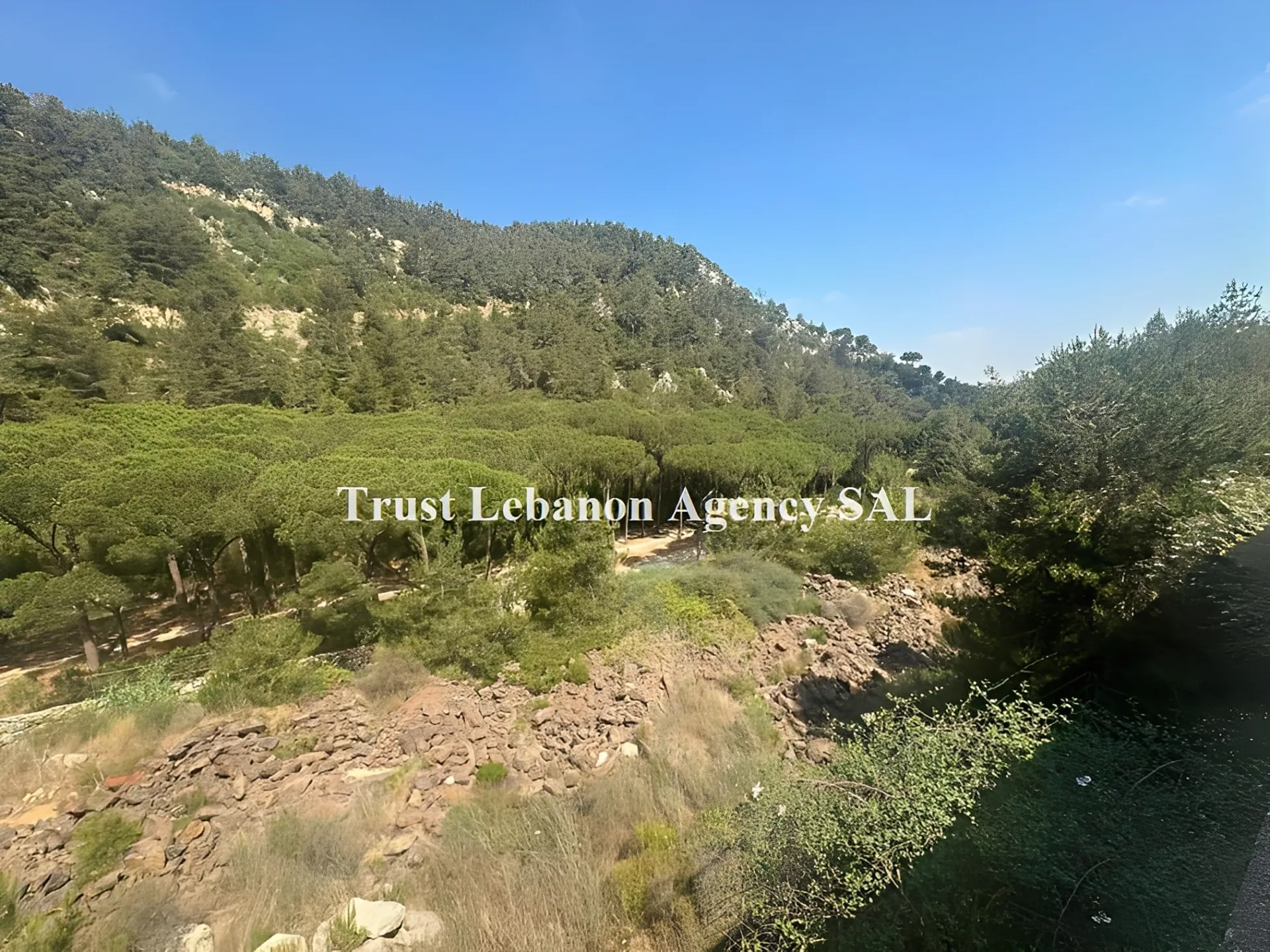 Land for Sale in Metn Jouret El Ballout Lebanon